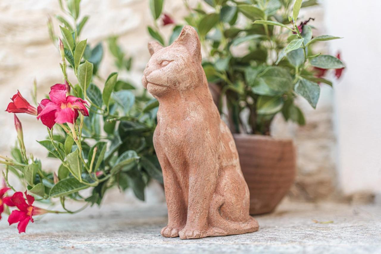 Hotel Borgo Dei Gatti Diffuso &