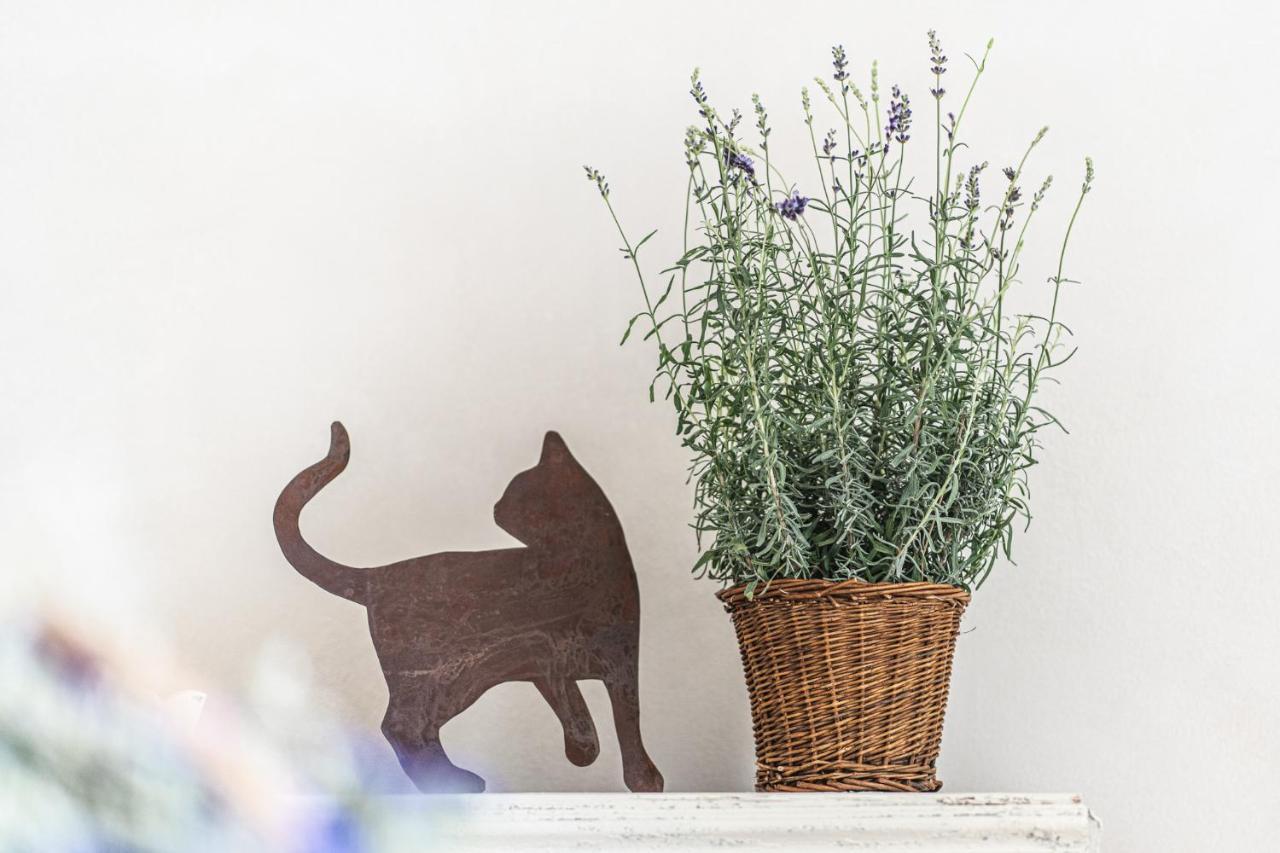 Borgo Dei Gatti Diffuso & *