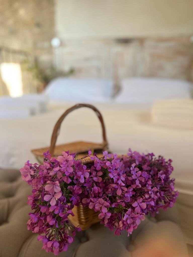 Borgo Dei Gatti Diffuso & Hotel